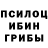 Псилоцибиновые грибы MAGIC MUSHROOMS Mark SchaudieWelt